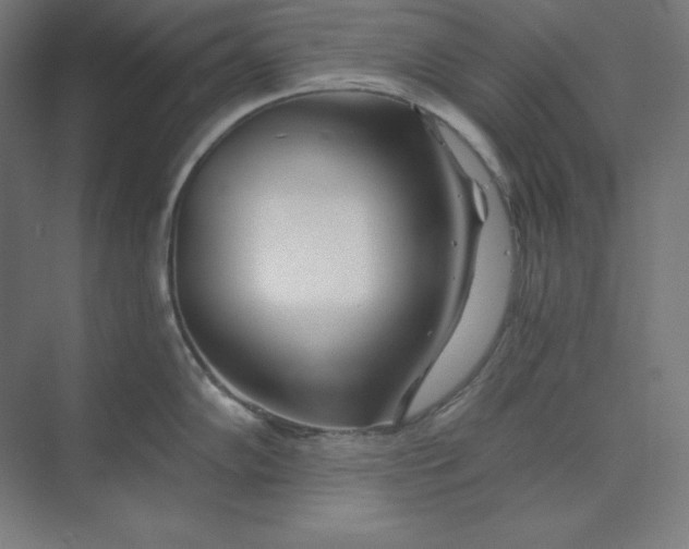 X0000074021102200609061109