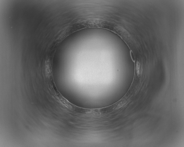 X0000074021107200609061108