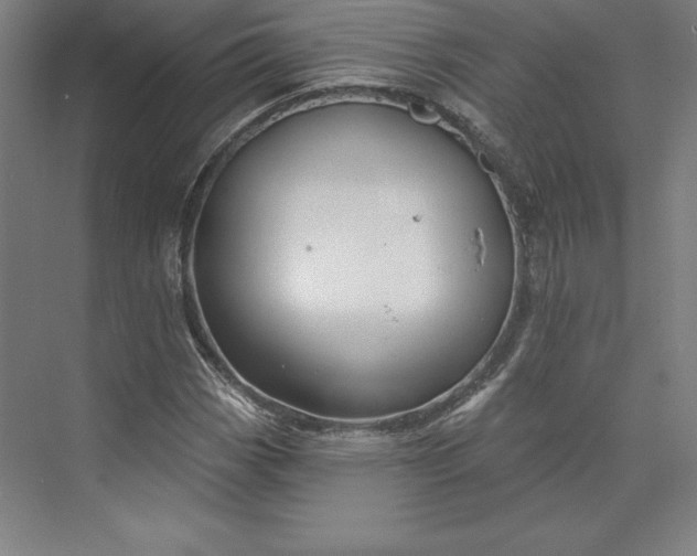 X0000074021113200609061108