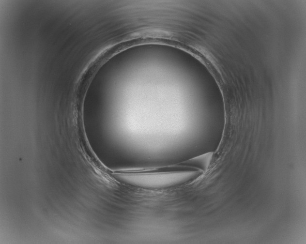 X0000074021115200609061108