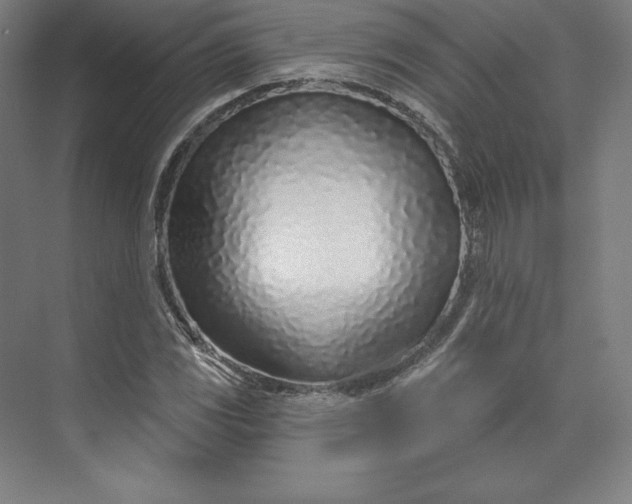 X0000074021117200609061108