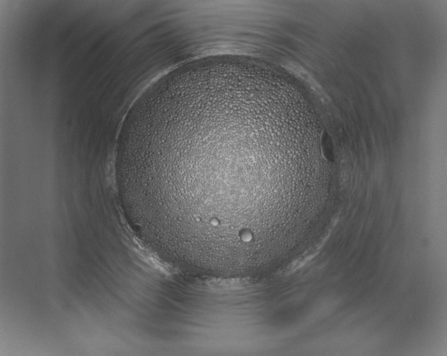 X0000074021121200609061108