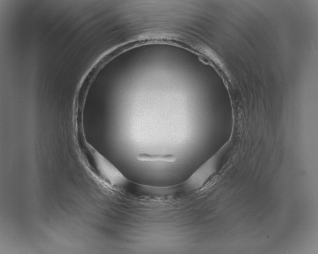 X0000074021124200609061108