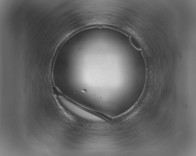 X0000074021129200609061108