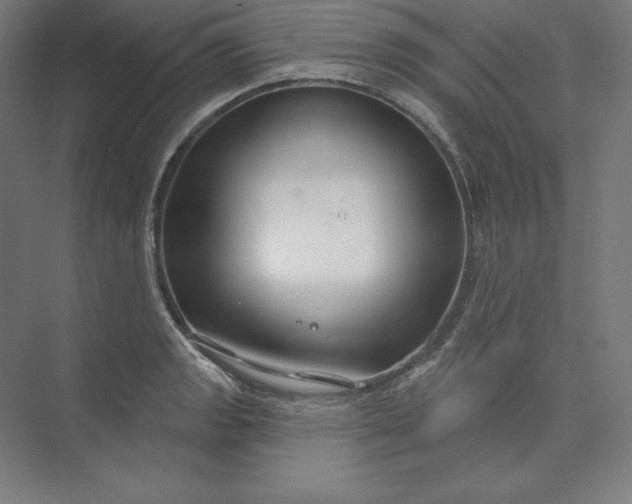 X0000074021133200609061108