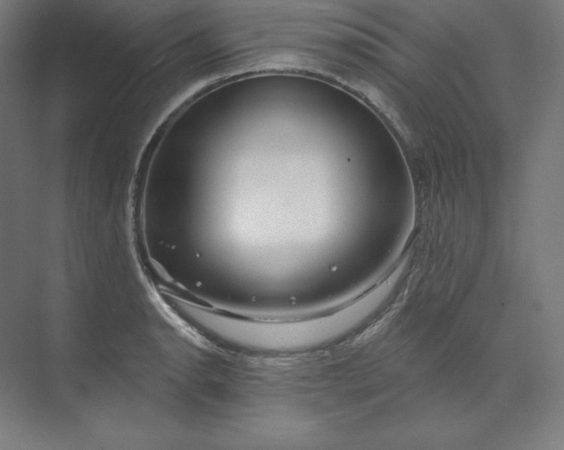 X0000074021134200609061108