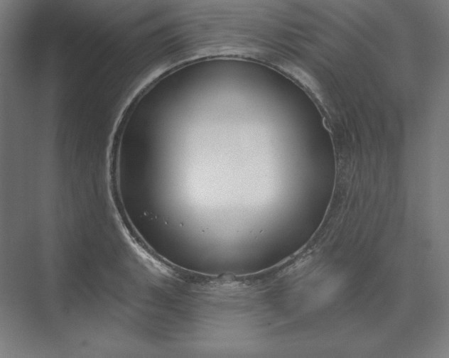 X0000074021135200609061108