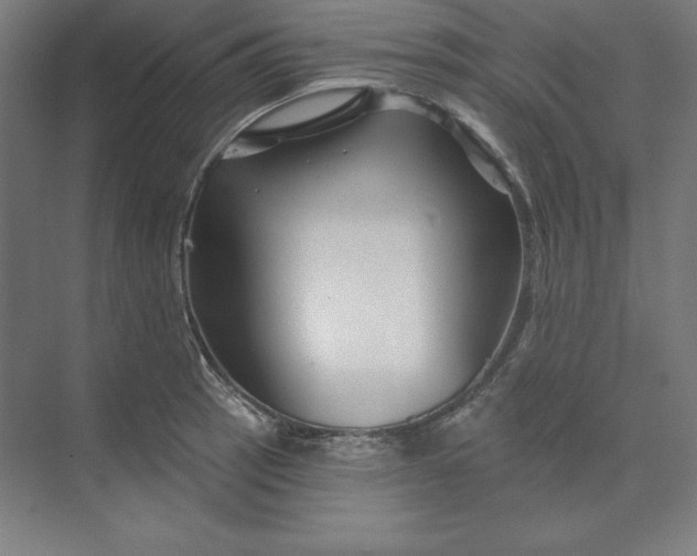 X0000074021137200609061109
