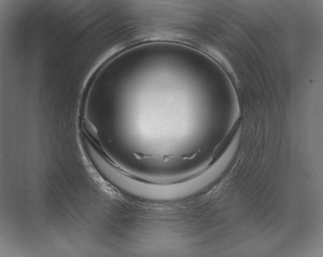 X0000074021138200609061109