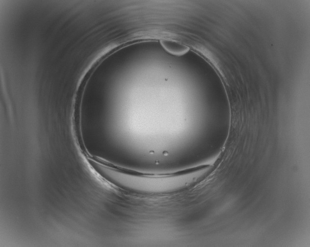 X0000074021139200609061109