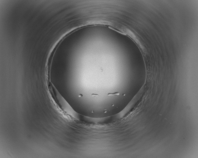 X0000074021140200609061109