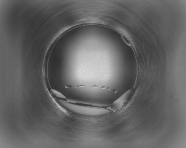 X0000074021141200609061109