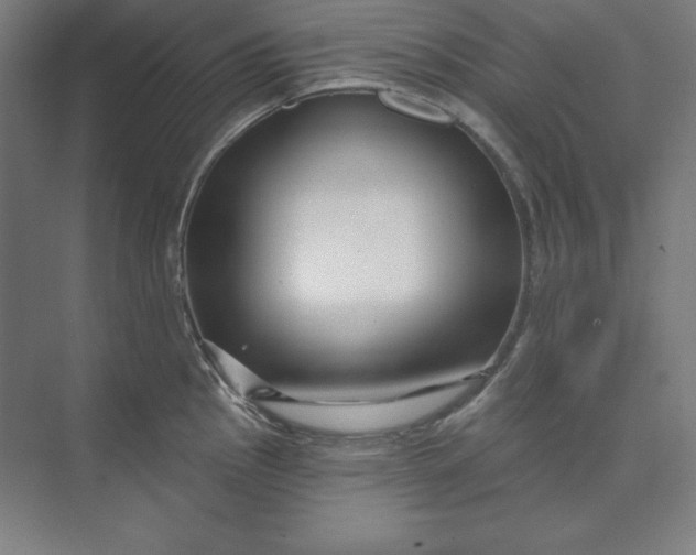 X0000074021145200609061109