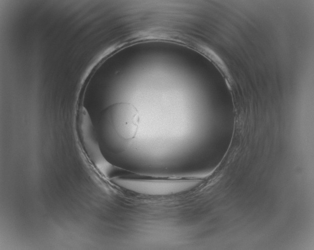 X0000074021146200609061109