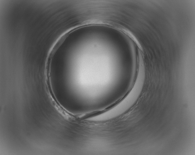 X0000074021148200609061109