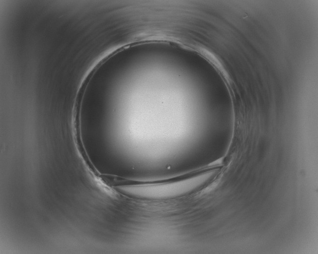 X0000074021149200609061109