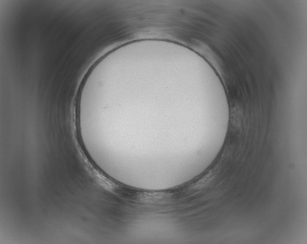 X0000074021150200609061109