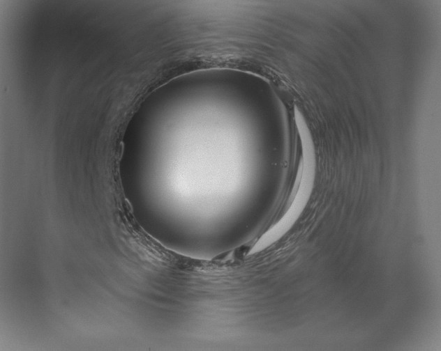 X0000074021153200609061108