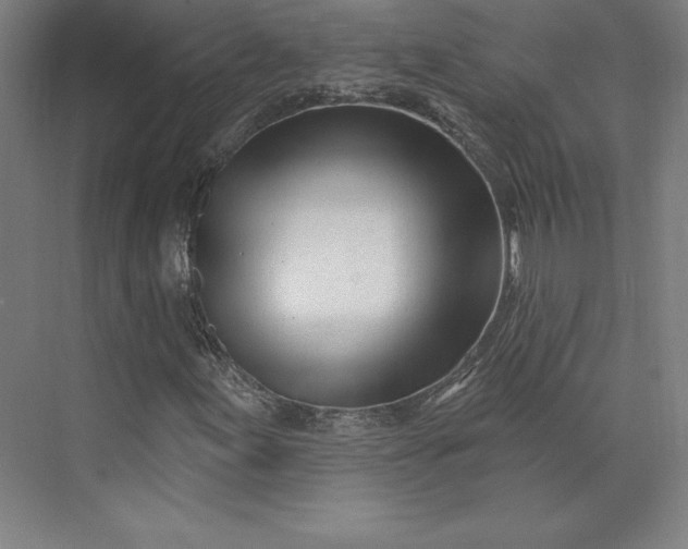 X0000074021155200609061108