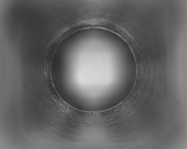 X0000074021158200609061108