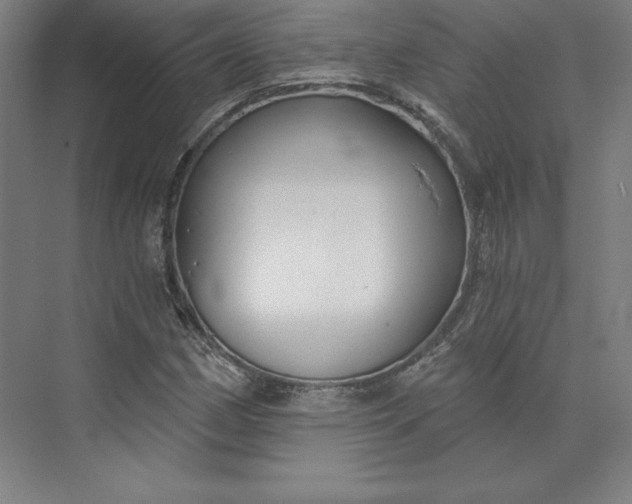 X0000074021162200609061108