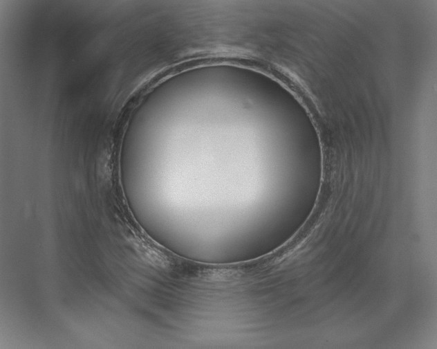 X0000074021163200609061108
