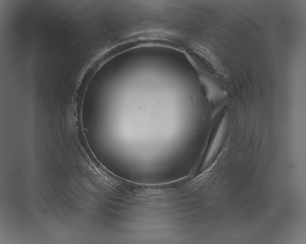 X0000074021164200609061108