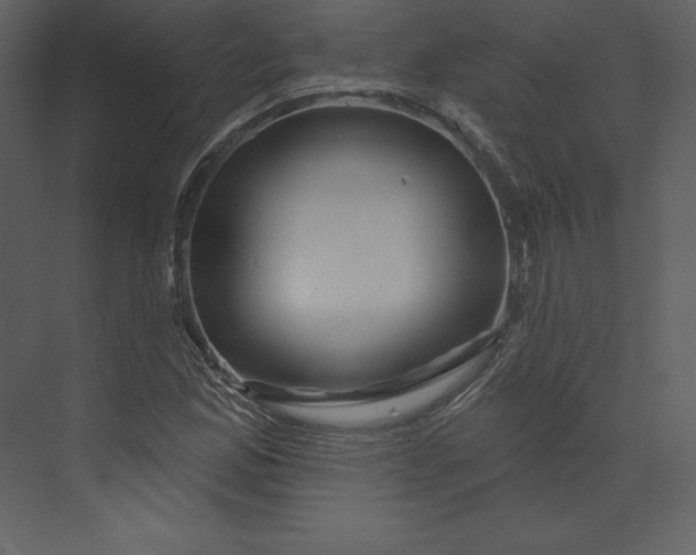 X0000074021165200609061108