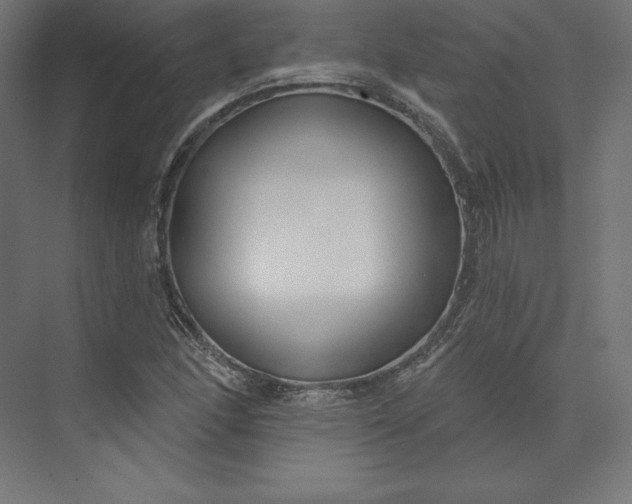 X0000074021166200609061108