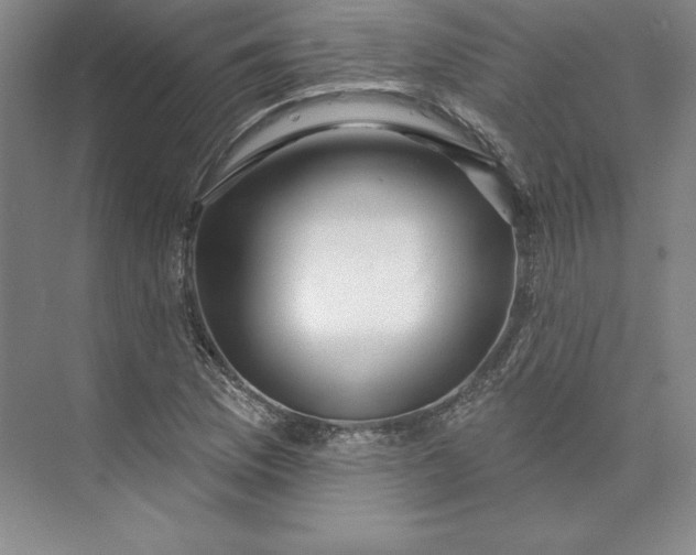 X0000074021169200609061108