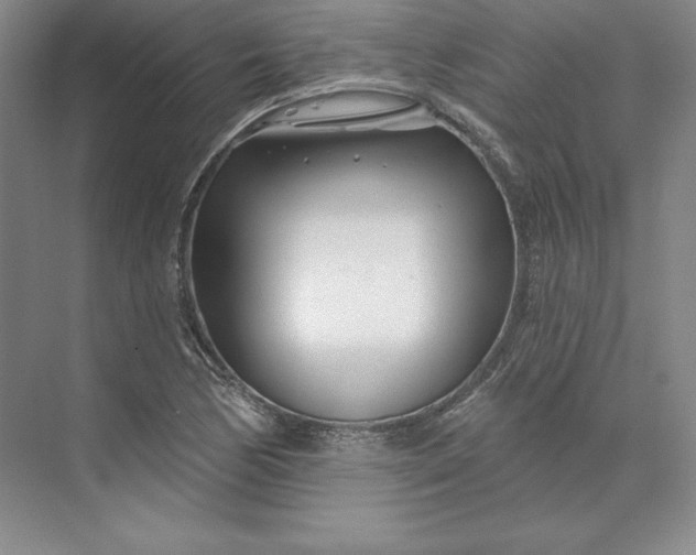 X0000074021170200609061108