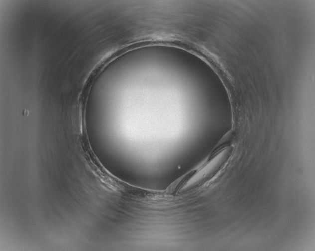 X0000074021171200609061108