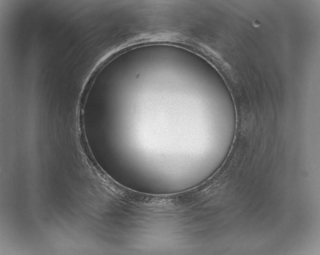 X0000074021174200609061108