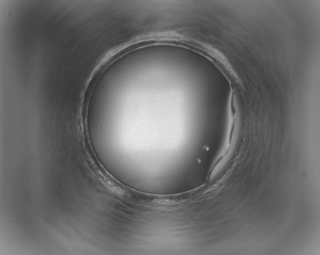 X0000074021176200609061108