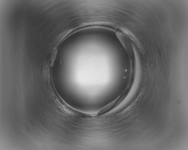 X0000074021177200609061108