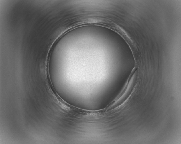 X0000074021178200609061108