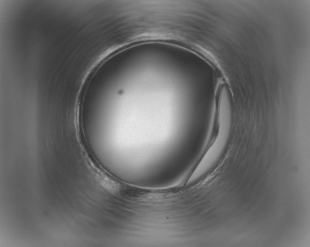 X0000074021179200609061108