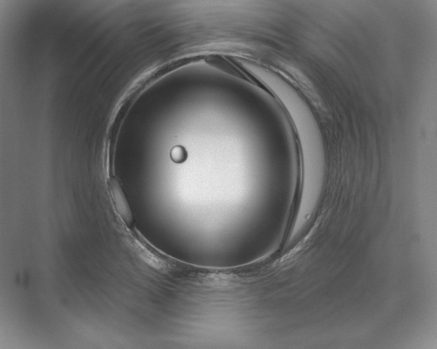 X0000074021180200609061108