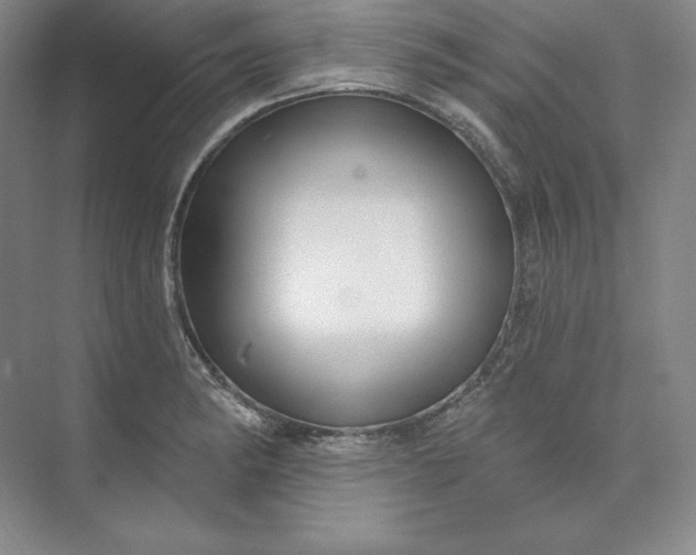 X0000074021182200609061107