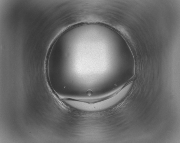 X0000074021183200609061107