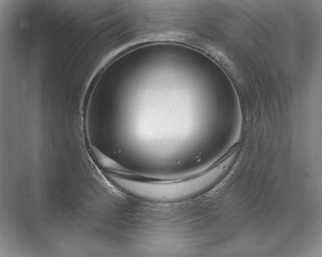 X0000074021184200609061107