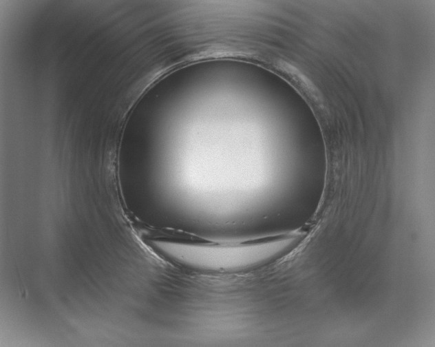 X0000074021185200609061107