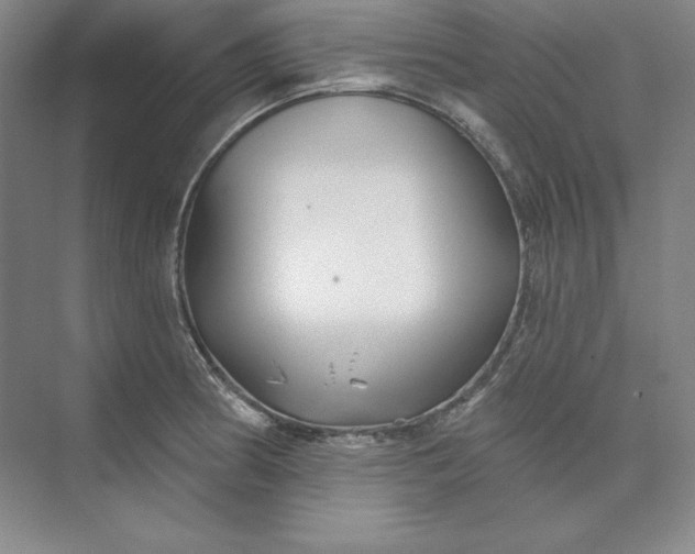X0000074021186200609061107