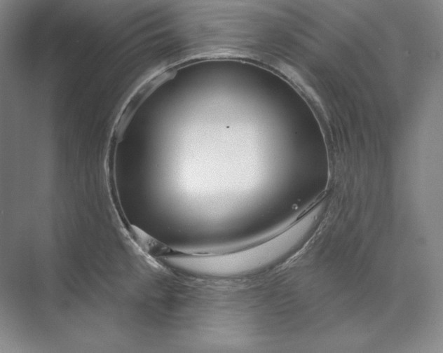 X0000074021189200609061107