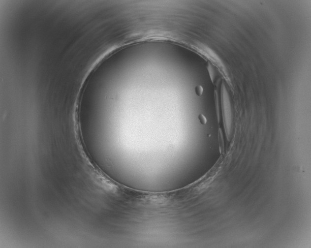 X0000074021190200609061107