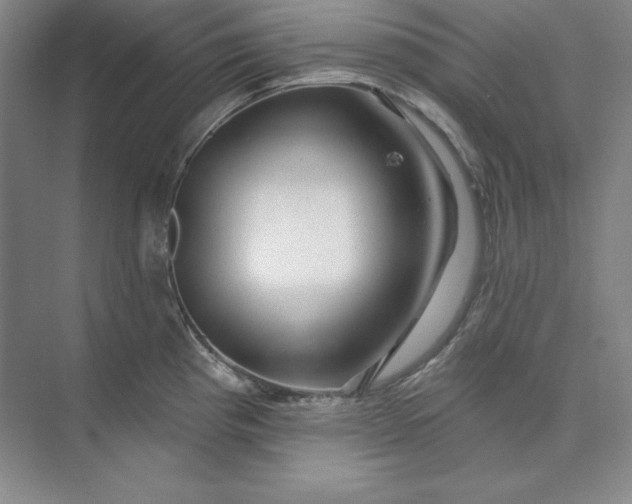 X0000074021193200609061107
