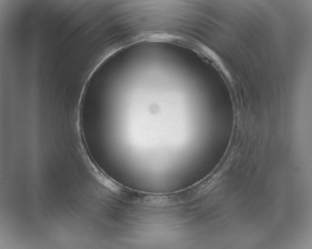 X0000074021194200609061107