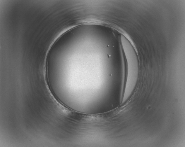 X0000074021195200609061107