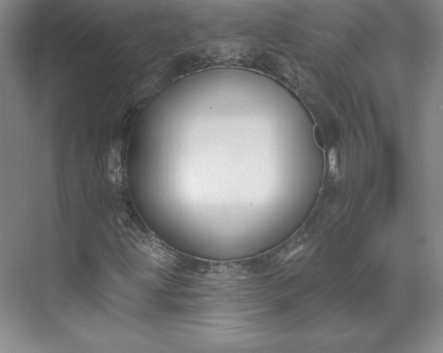 X0000074021203200609061106