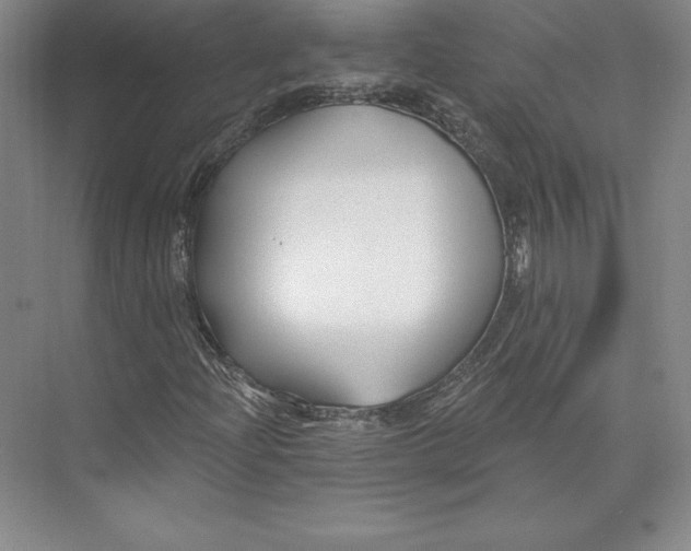X0000074021204200609061106